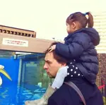 Ik heb een Gedetailleerde blik op het Tokyo Klimaat, maand voor maand, inclusief de beste reistijd en Klimaatuitdaging