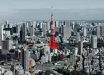 Ik vertel je in mijn eigen woorden wat er te doen is in Tokyo Tower en hoe je aan Tokyo Tower Tickets komt.