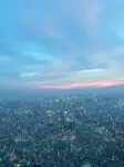 Ik heb ze zelf meerdere keren ervaren. Tokyo Bezienswaardigheden zitten door de stad. Hoe kom je dan van de ene naar de andere Toplocatie? 