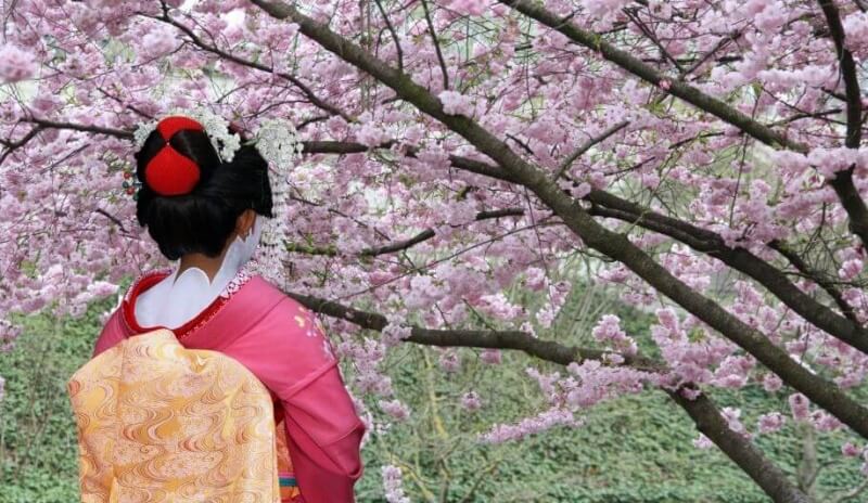 Bloesem in Tokyo-Geisha