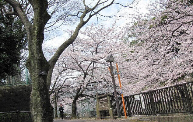 Tokyo Bezienswaardigheid bezoeken