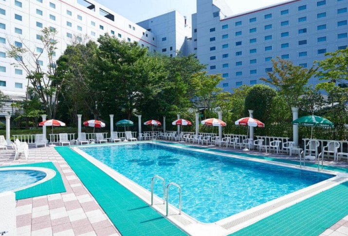 Hotels dichtbij Tokyo vliegveld Nikko Hotel Narita