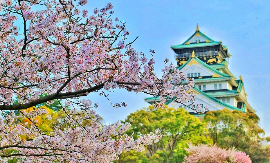 Sakura-Palace