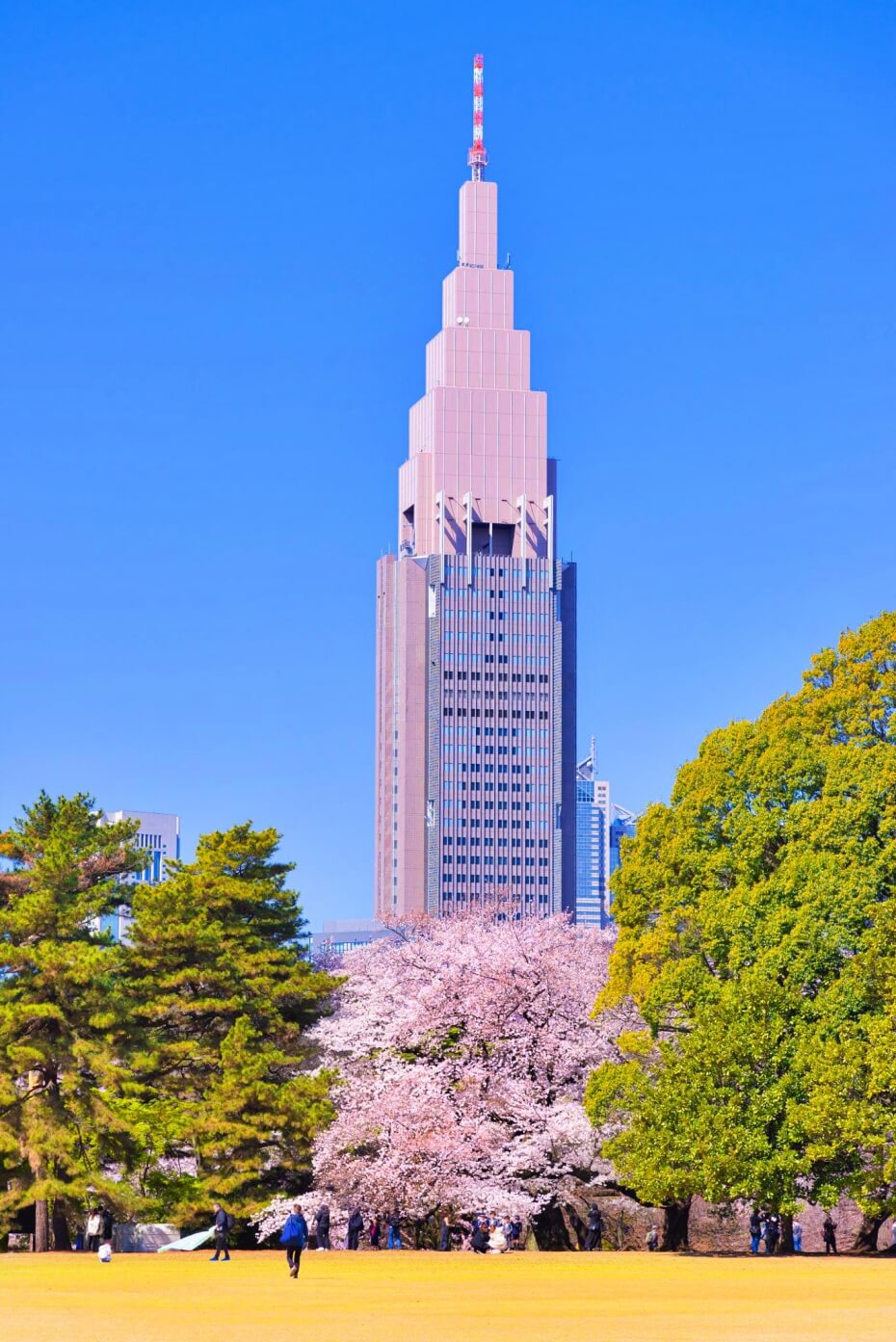 Shinjuku-Park-Garden