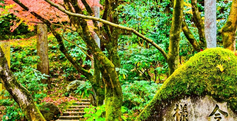 Tokyo-Oktober-Klimaat