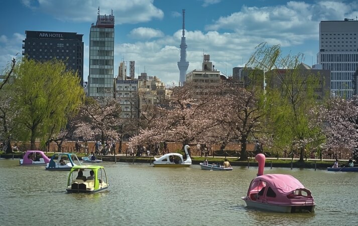 Ueno Park Tokyo Mooiste Bezienswaardigheid Ueno Park Tokyo Mooiste Bezienswaardigheid