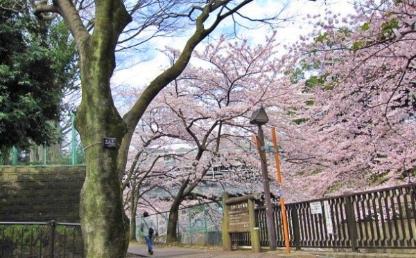 Het Weer in Tokyo - 2