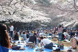 Yoyogie-Park-Bloesem